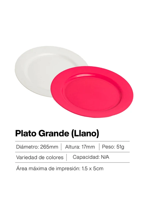 Plato grande de plástico en colores vibrantes – resistente, reutilizable y ideal para comidas principales o eventos